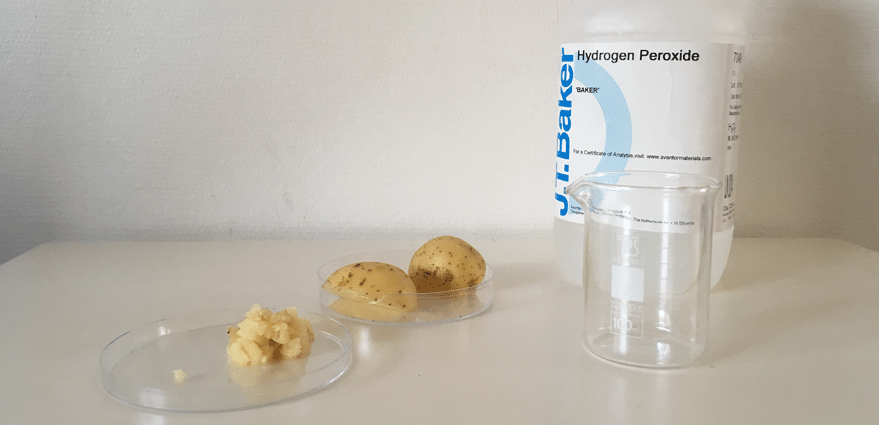 Enzymen en waterstofperoxide